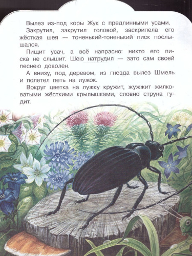 Кто чем поёт? /МалышЧитай