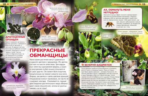 Удивительные растения /Самая первая энциклопедия