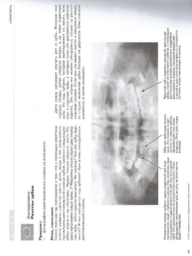 Свет и сила. Практические занятия для любопытных детей от 4 до 7 лет