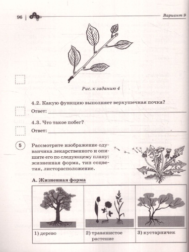 ВПР Биология 6 класс. 10 тренировочных вариантов