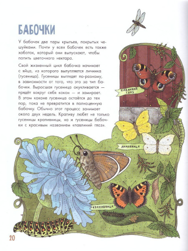 Насекомы /МояПервКнига