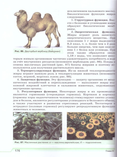 Естествознание 10 класс. Учебник. Вертикаль. ФГОС