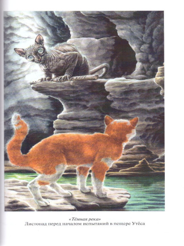 Коты-воители. Золотая коллекция. Знак трех. Темная река