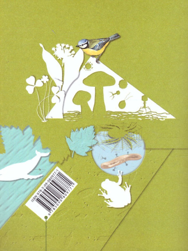 Биология 5-6 класс. Учебник. ФГОС