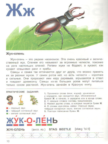 Тетрадь общения и развития детей "Насекомые-2"