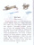 Филипок. Рассказы. Басни. Детское чтение