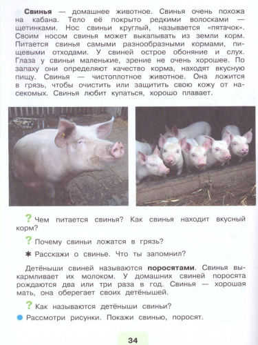 Мир природы и человека 3 класс. Учебник в 2-х частях. Часть 2. (для обучающихся с интеллектуальными нарушениями)