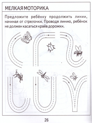 55592837-2