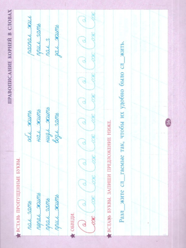 Русский язык 5 класс. Проверка орфографии и чистописания