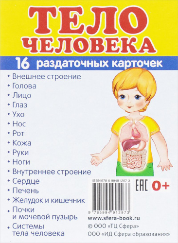 Демонстрационные картинки СУПЕР. Тело человека. 16 раздаточных картинок с текстом 63х87 мм
