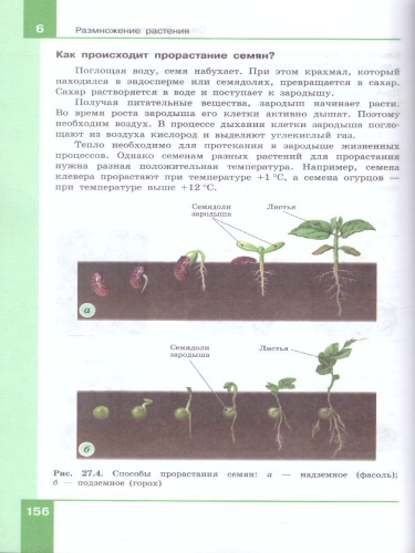Биология 6 класс. Учебник