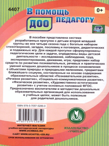 Организация деятельности детей на прогулке: вторая младшая группа
