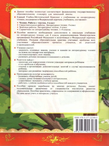 Чтение 4 класс. Работа с текстом