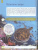 Энциклопедия. Океаны. Умная энциклопедия Энциклопедия. Океаны. Умная энциклопедия