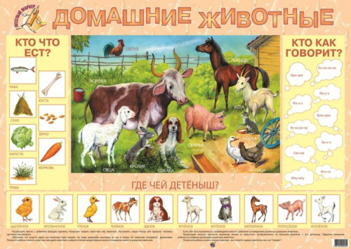 Плакат "Домашние животные"