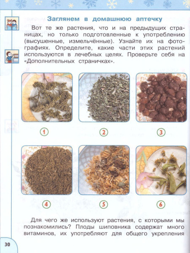 Окружающий мир 2 класс. Учебник в 2-х частях. Часть 2. ФГОС. УМК "Перспектива"