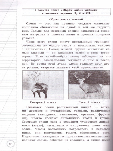 ВПР. Читательская грамотность 4 класс. 10 вариантов ТЗ. ФГОС