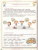 Развиваем внимание. Для детей 4-5 лет
