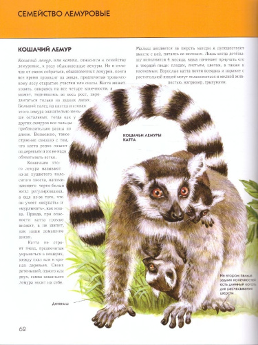 Животные. Полная энциклопедия