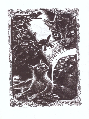 Коты-воители. Цикл "Тайна Щербатой". Предназначение