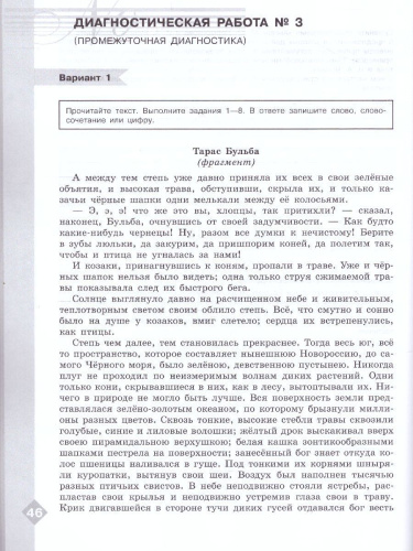 Литература 7 класс. Диагностические работы