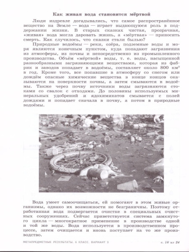 Метапредметные результаты. Стандартизированные материалы для оценки читательской грамотности. 6 класс. Варианты 1-4. ФГОС