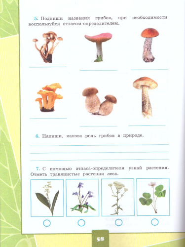 Окружающий мир 4 класс. Тетрадь для практических работ с дневников наблюдений. Часть 1. ФГОС