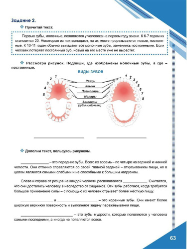 Функциональная грамотность. 5 класс. Тренажёр для школьников. Часть 1