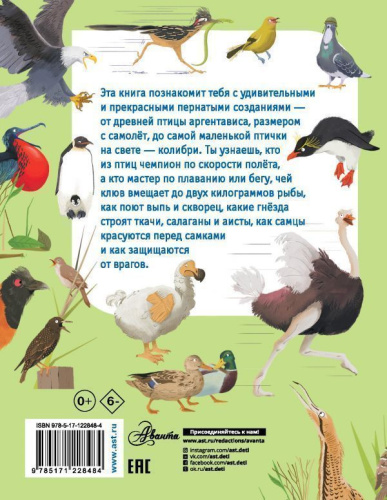 Какие бывают птицы?оя первая книга обо всём на свете