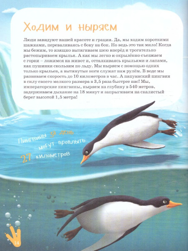 Я Пингвин