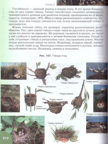 Биология 7 класс. Учебное пособие