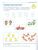Математические прописи для детей 4-5 лет. ЦВЕТНЫЕ. ФГОС ДО