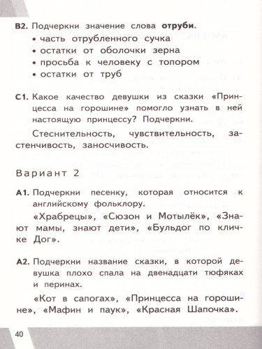 ВПР Литературное чтение 2 класс. Контрольные измерительные материалы. ФГОС