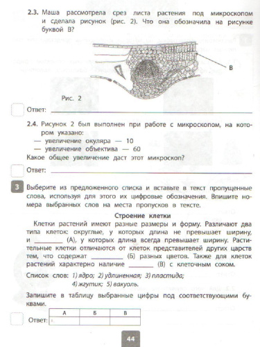 Всероссийская проверочная работа 2020. Биология 6 класс