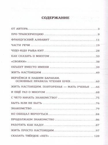 Французский язык! Большой понятный самоучитель