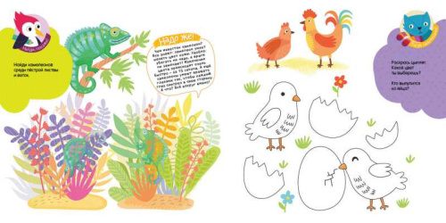 Маленькие чудеса большого мира