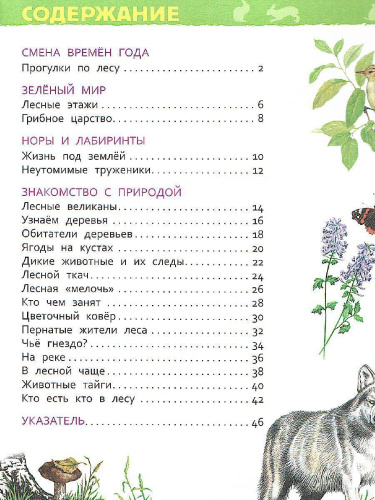 В лесу