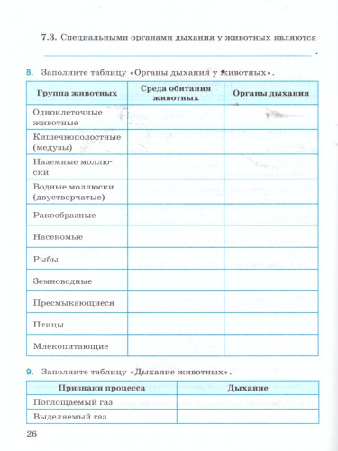 Рабочая тетрадь по Биологии 6 класс. К учебнику В.В. Пасечника "Биология 5-6 классы"