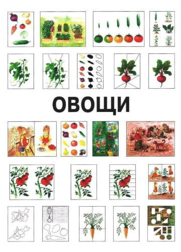 Развитие мыслительной деятельности у детей дошкольного возраста с ОВЗ (4-7 лет). Рабочая тетрадь № 1
