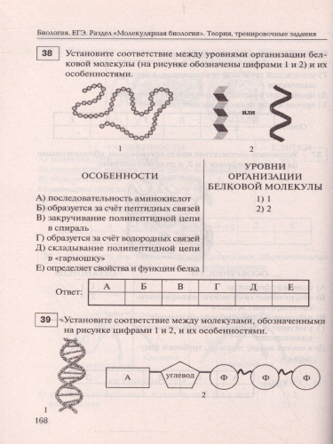 ЕГЭ-2021. Биология 11 класс. Раздел Молекулярная Биология. Тренировочная тетрадь
