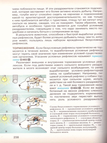 Биология 8 класс. Учебник. ФГОС