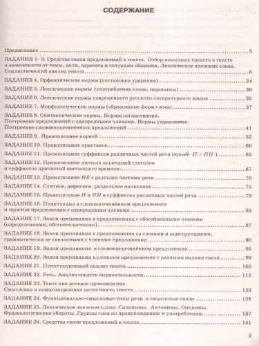 ЕГЭ 2025 Русский язык. ЕГЭ на отлично. Типовые варианты экзаменационных заданий