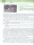 История. Военная история России 6-7 классы. Учебное пособие