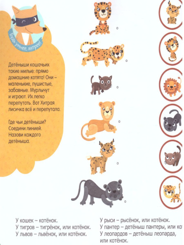 Усатые, полосатые, пятнистые