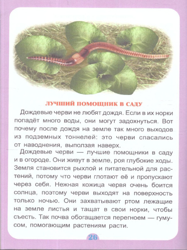 Удивительное о животных. Занимательные рассказы