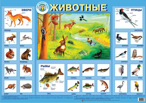 Плакат "Животные"