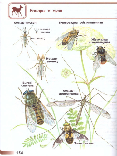 Атлас-определитель. От земли до неба. ФГОС