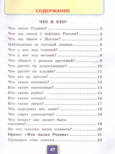 Окружающий Мир 1 класс. Рабочая тетрадь. Часть 1 к учебнику А. А. Плешакова. ФГОС