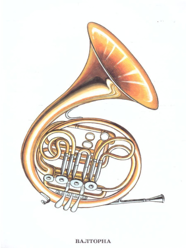 Дидактический материал "Музыкальные инструменты: духовые"