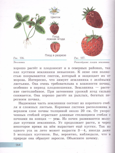 Биология 7 класс. Растения. Бактерии. Грибы. Учебник. Для обучающихся с интеллектуальными нарушениями